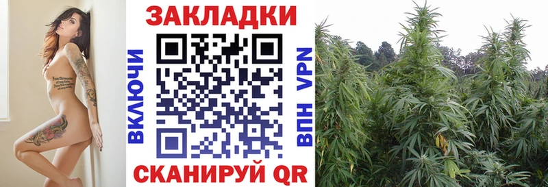 Сколько стоит Щёлково Гашиш  Галлюциногенные грибы  Alpha-PVP  Бутират  COCAIN  Мефедрон 