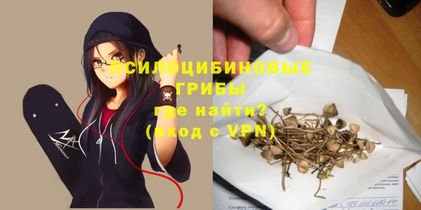 a pvp Алзамай