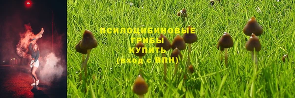 a pvp Алзамай