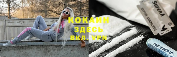 метадон Алексин