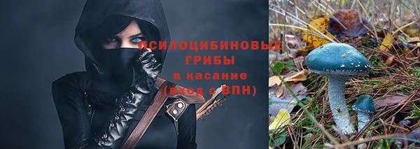 a pvp Алзамай