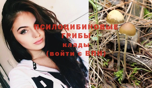 каннабис Алексеевка